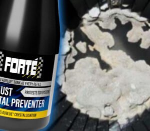 Aditivo anticristalizante limpiador ADBLUE FORTE